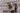 Tyron McAlpin sues Phoenix police over violent arrest