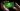 Valve advises full system reset if you’ve downloaded this Steam game containing malware