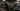 Russia-Ukraine war: List of key events, day 1,019 | Russia-Ukraine war News