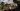 Russia-Ukraine war: List of key events, day 1,026 | Russia-Ukraine war News