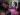 Assad’s ‘human slaughterhouses’: What to know about Syria’s prisons | Syria’s War News