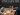 World chess champ Ding and teen challenger Gukesh tied past halfway mark | Sport News