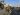 Why did Syria’s opposition forces choose now to attack?