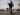What the collapse of the Syrian regime says about the Arab region | Syria’s War