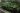 2 New York Men Dead After Fertilizing Weed Plants With Bat Feces