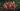 How to watch the I’m A Celeb final 2024 online from anywhere and for free