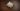 AMD Strix Halo leak suggests chips are imminent, but gives me a couple of reasons to worry about the flagship laptop CPU
