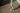 NY Cops Handcuff 11-Year-Old Black Girl