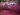 Los Angeles wildfires day 8: What’s the latest, what’s next as winds rage? | Environment News