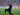 Controversial Raphinha winner seals nine-goal thriller for Barca at Benfica | Football News
