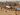 Two Palestinians killed by Israeli tank fire in southern Gaza | Israel-Palestine conflict News