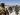 Yemen’s Houthi rebels release 153 prisoners of war | News