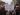 Mass protests across Greece to demand justice for Tempe train crash victims | Protests News