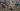 Russia-Ukraine war: List of key events – day 1,061 | Russia-Ukraine war News