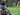 At least 80 people killed in northeast Colombia as ELN peace talks fail | Armed Groups News