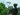 Colombia seeks to reassert control as rebel fighting kills over 100 | Politics News