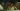 Netflix caught up in AI Oscars controversy alongside The Brutalist as Emilia Pérez criticized for using voice enhancement tech