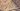 ‘Branded’: Satellite images show Star of David carved into Gaza | Israel-Palestine conflict News