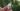 Apple’s banking on camera-equipped AirPods to trounce Meta smart glasses, but I’m not sure it’s enough