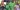 You’re yet to release Speed Darlington as promised