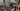 Israeli attack kills 13 members of a family in Gaza City | Gaza