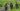 How to end the conflict in eastern DRC? | Conflict
