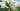 Leak suggests an Oblivion remake is set to launch soon