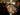 Key takeaways from Donald Trump’s first cabinet meeting with Elon Musk | Donald Trump News