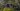New DJI leaks reveal not one but two action cameras could be launching soon