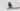 Biggest Google Pixel 9a leak so far reveals colors and seems to confirm the death of the camera bar