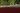 River in Argentina turns blood red