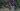 Guatemala bus crash kills more than 50 people