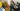 Viral video of actor Nkubi and family having meal together gets people talking