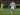 Mbappe double at Villarreal takes Real Madrid top of LaLiga | Football News