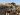 Houthis claim retaliation as US says its strikes to continue in Yemen | Houthis News