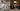 “The age of generalist robotics is here” – Nvidia’s latest GROOT AI model just took us another step closer to fully humanoid robots