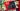 Nintendo’s new app gave us another look at the Switch 2, and there’s something different with the Joy-Con
