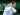 Medvedev defeats Paul to reach quarterfinals at Indian Wells | Tennis News