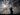Russia-Ukraine war: List of key events, day 1,129 | Military News