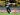 Pakistan vs New Zealand: Tim Seifert scores 97 as Kiwis win fifth T20I | Cricket News