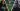 ‘We take the comprehensive view’: Joe and Anthony Russo drop big hint over Marvel heroes from Disney+ shows appearing in Avengers 5 and 6