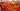 Buddhism’s holiest site erupts in protests over Hindu ‘control’ of shrine | Politics