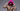 Zingah Celebrates His Versatility On ‘Himmy The Lawd’ EP