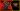 It’s not perfect, but Assassin’s Creed Shadows’ performance is impressive – it runs smoothly on the Steam Deck and Asus ROG Ally