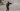 Syrian security forces reportedly clash with pro-Assad gunmen | Syria’s War