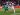 Man Utd held by late Lyon Europa League goal; Tottenham draw, Chelsea win | Football News