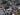 Rescuers race against time after Dominican Republic nightclub roof collapse | News
