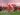 Liverpool net record-equalling 20th Premier League title by thrashing Spurs | Football