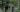 28 Years Later looks like it will be the horror movie of the year in new trailer that shows how the deadly rage virus has evolved