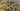 The next Civilization 7 update is finally bringing back something I think should’ve been in the game from the start